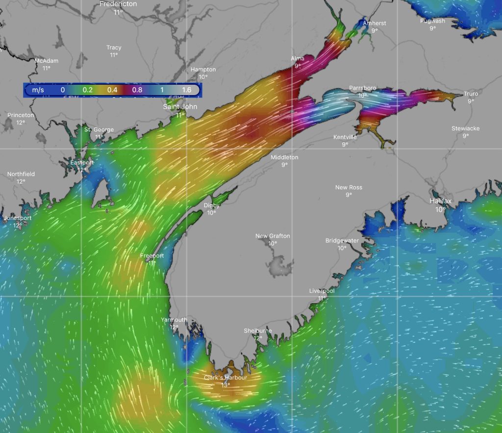 Predicted averaged tidal currents during incoming tide in the Bay of Fundy. Source:Windy.com