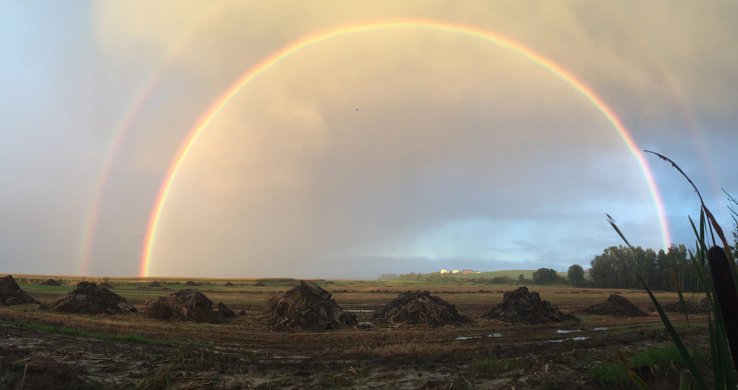 Panoramic view at Grand Pré, Nova Scotia, Canada showing a rainbow formed by sunlight falling on water droplets condensing from the Atmosphere. JWF Waldron CC-BY-SA-NC