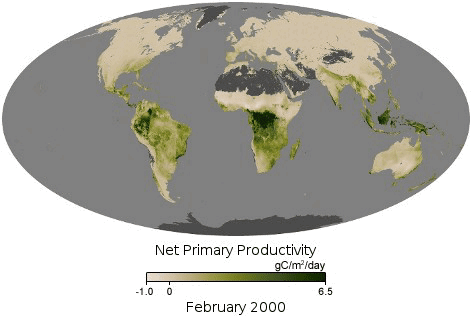Map showing changes in organic productivity through photosynthesis for land areas for a 15-year period.