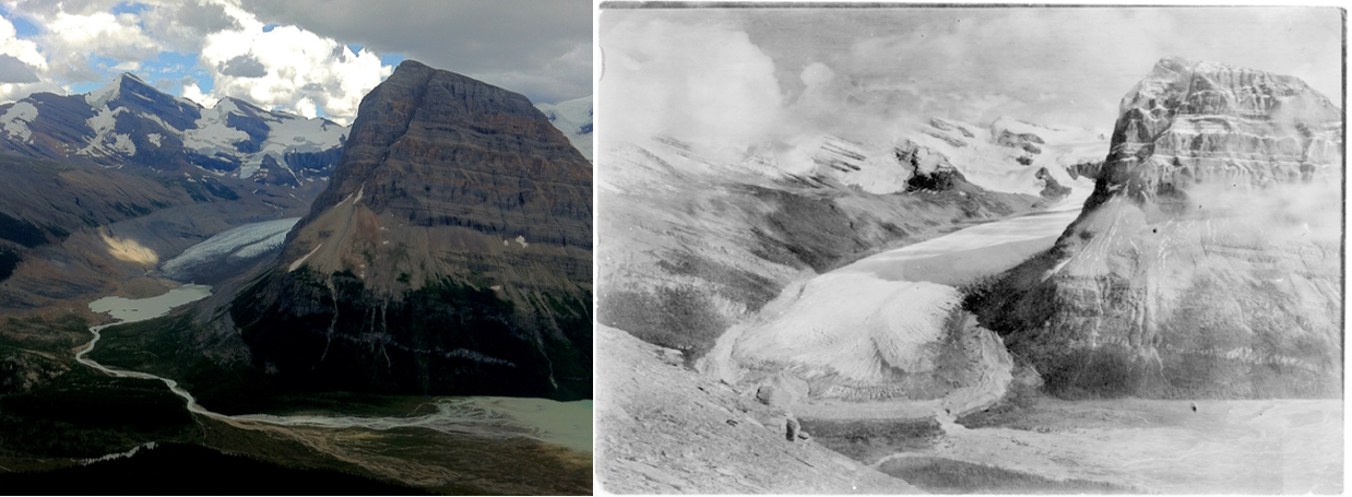Figure I-1: Rearguard Mountain and Robson Glacier in the Rocky Mountains of British Columbia.