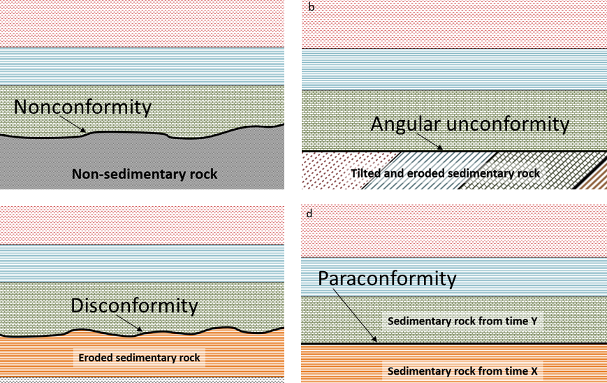 Figure 7.2.6: The four types of unconformities: (a) a nonconformity between older non-sedimentary rock and sedimentary rock, (b) an angular unconformity, (c) a disconformity between layers of sedimentary rock, where the older rock has been eroded but not tilted, and (d) a paraconformity where there is a long period (typically millions of years) of non-deposition between two parallel layers.