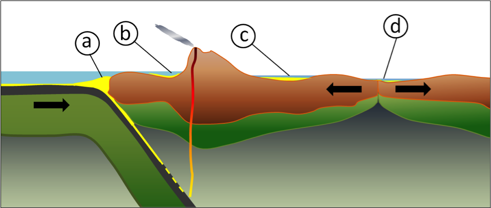 Figure 5.5.2: Some of the more important types of tectonically produced basins: (a) trench basin, (b) forearc basin, (c) foreland basin, and (d) rift basin.