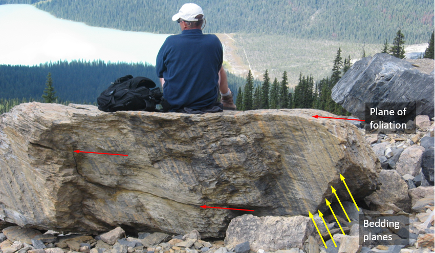 Figure 6.2.3: A slate boulder on the side of Mt. Wapta in the Rockies near Field, BC. Bedding is visible as light and dark bands sloping steeply to the right (yellow arrows). Slaty cleavage is evident from the way the rock has broken (along the flat surface that the person is sitting on) and also from lines of weakness that are parallel to that same trend (red arrows).