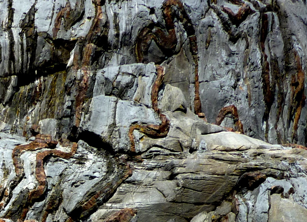 Figure 5.4.5: Chert (brown layers) interbedded with Triassic Quatsino Formation limestone on Quadra Island, B.C. All of the layers have been folded, and the chert, being insoluble and harder than limestone, stands out.