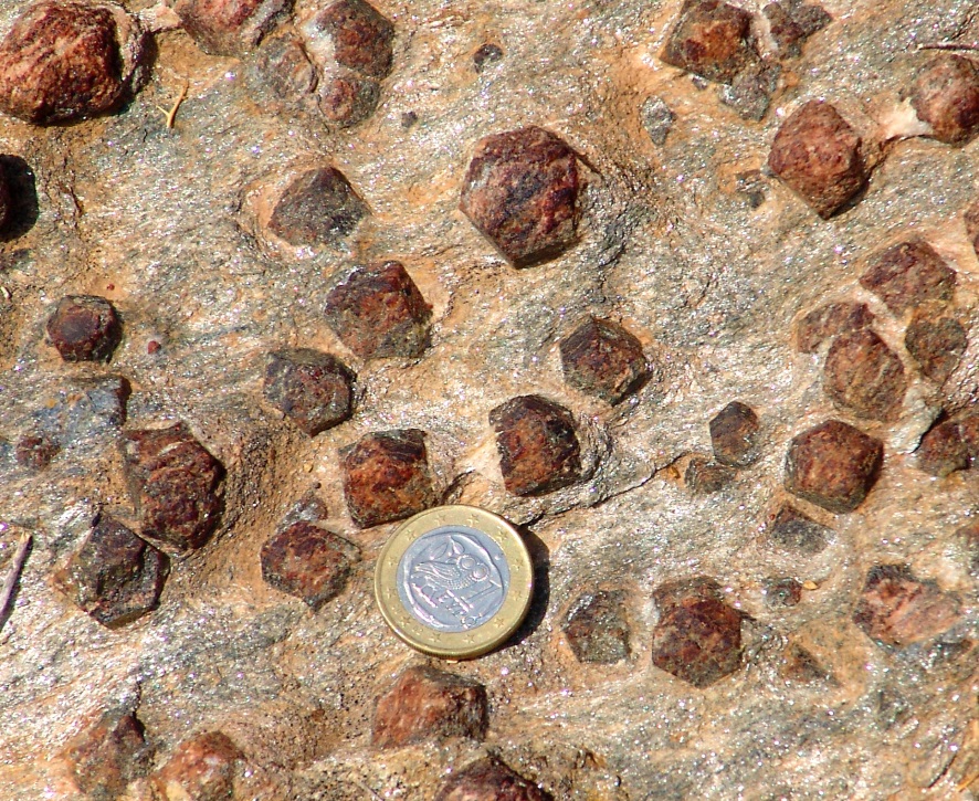 Figure 6.1.3: Garnets in a schist. Euro coin (23 mm) is for scale.