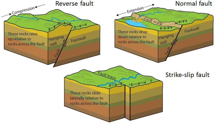 Figure 10.3.3: Depiction of reverse, normal, and strike-slip faults. Reverse faults happen during compression while normal faults happen during extension. Most strike-slip faults are related to transform boundaries.