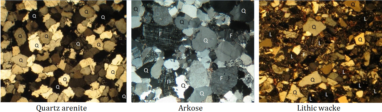 Figure 5.3.6: Microscope photos of three types of sandstone in thin-section. Some of the minerals are labelled: Q=quartz, F=feldspar and L= lithic (rock fragments). The quartz arenite and arkose have relatively little silt-clay matrix, while the lithic wacke has abundant matrix.