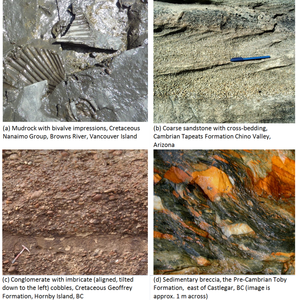 Figure 5.3.8: Examples of various clastic sedimentary rocks.
