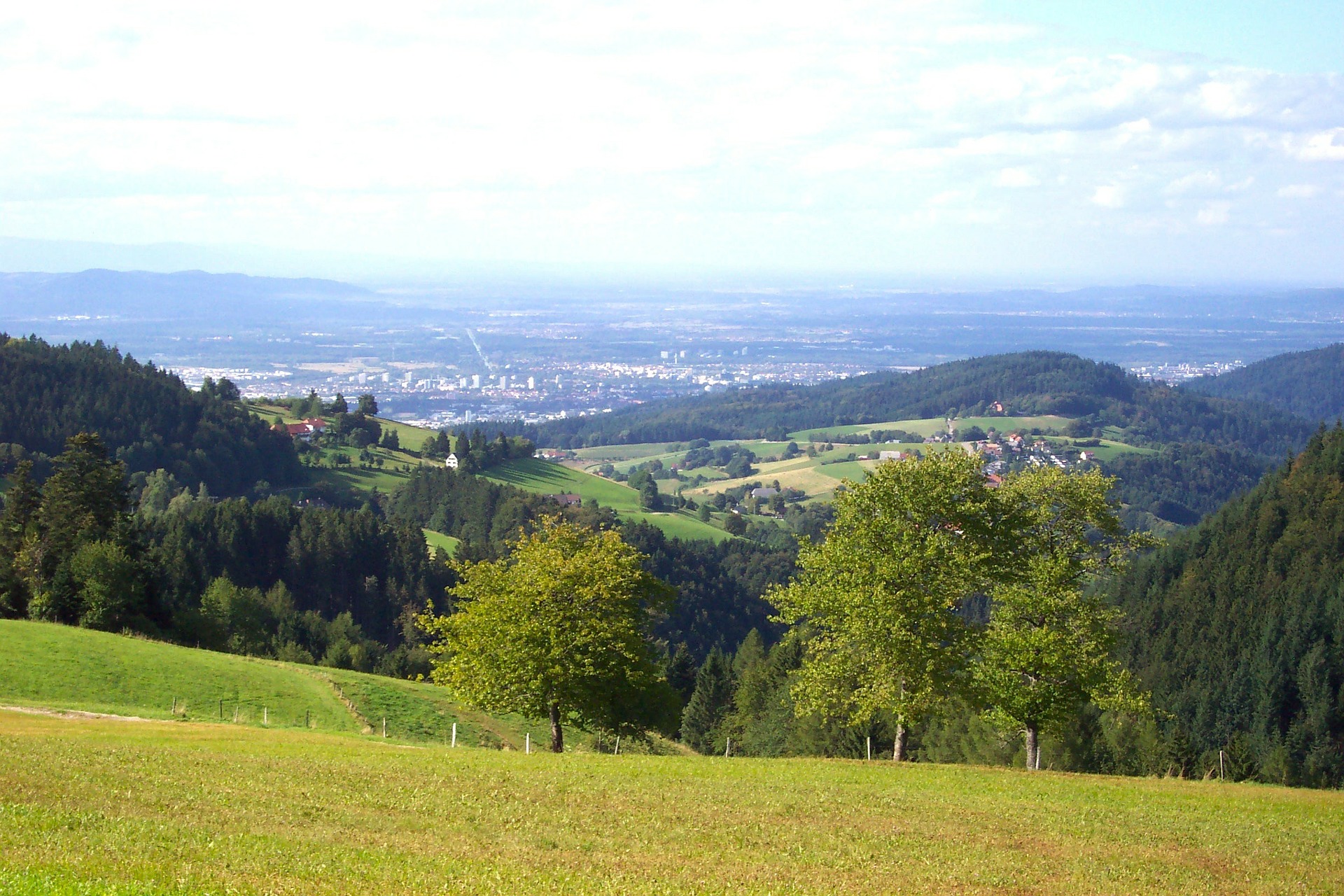 outlook over Freiburg