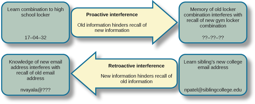 "A diagram shows two types of interference. A box with the text “learn combination to high school locker, 17–04–32” is followed by an arrow pointing right toward a box labeled “memory of old locker combination interferes with recall of new gym locker combination, ??–??–??”; the arrow connecting the two boxes contains the text “proactive interference (old information hinders recall of new information.” Beneath that is a second part of the diagram. A box with the text “knowledge of new email address interferes with recall of old email address, nvayala@???” is followed by an arrow pointing left toward the “early event” box and away from another box labeled “learn sibling’s new college email address, npatel@siblingcollege.edu”; the arrow connecting the two boxes contains the text “retroactive interference (new information hinders recall of old information.”