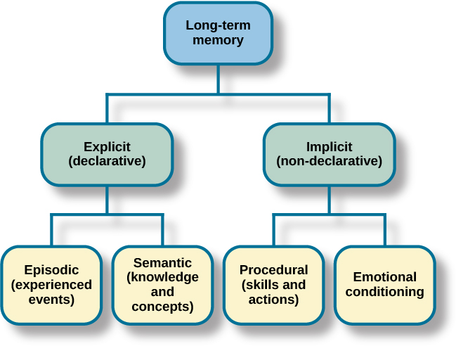 A diagram consists of three rows of boxes. The box in the top row is labeled “long-term memory;” a line from the box separates into two lines leading to two boxes on the second row, labeled “explicit memory” and “implicit memory.” From each of the second row boxes, lines split and lead to additional boxes. From the “explicit memory” box are two boxes labeled “episodic (events and experiences)” and “semantic (concepts and facts).” From the “implicit memory” box are three boxes labeled “procedural (How to do things),” “Priming (stimulus exposure affects responses to a later stimulus),” and “emotional conditioning (Classically conditioned emotional responses).”