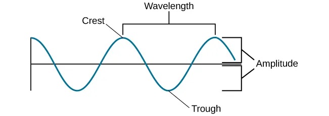 A diagram illustrates the basic parts of a wave. Moving from left to right, the wavelength line begins above a straight horizontal line and falls and rises equally above and below that line. One of the areas where the wavelength line reaches its highest point is labeled “Peak.” A horizontal bracket, labeled “Wavelength,” extends from this area to the next peak. One of the areas where the wavelength reaches its lowest point is labeled “Trough.” A vertical bracket, labeled “Amplitude,” extends from a “Peak” to a “Trough.