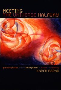 book cover of Meeting the Universe Halfway