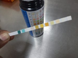 urine sample can be assessed by placing a dipstick into the sample