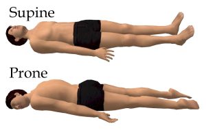 supine/prone positions