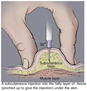 A subcutaneous injection into the fatty layer of tissue (pinched up to give the injection) under the skin