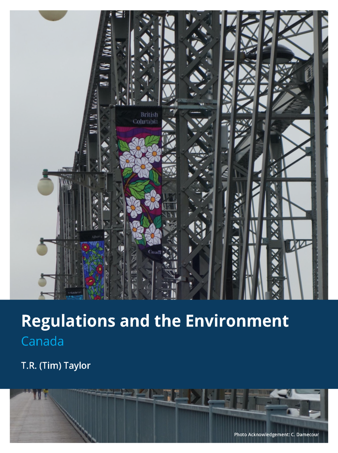 Cover image for Regulations and the Environment