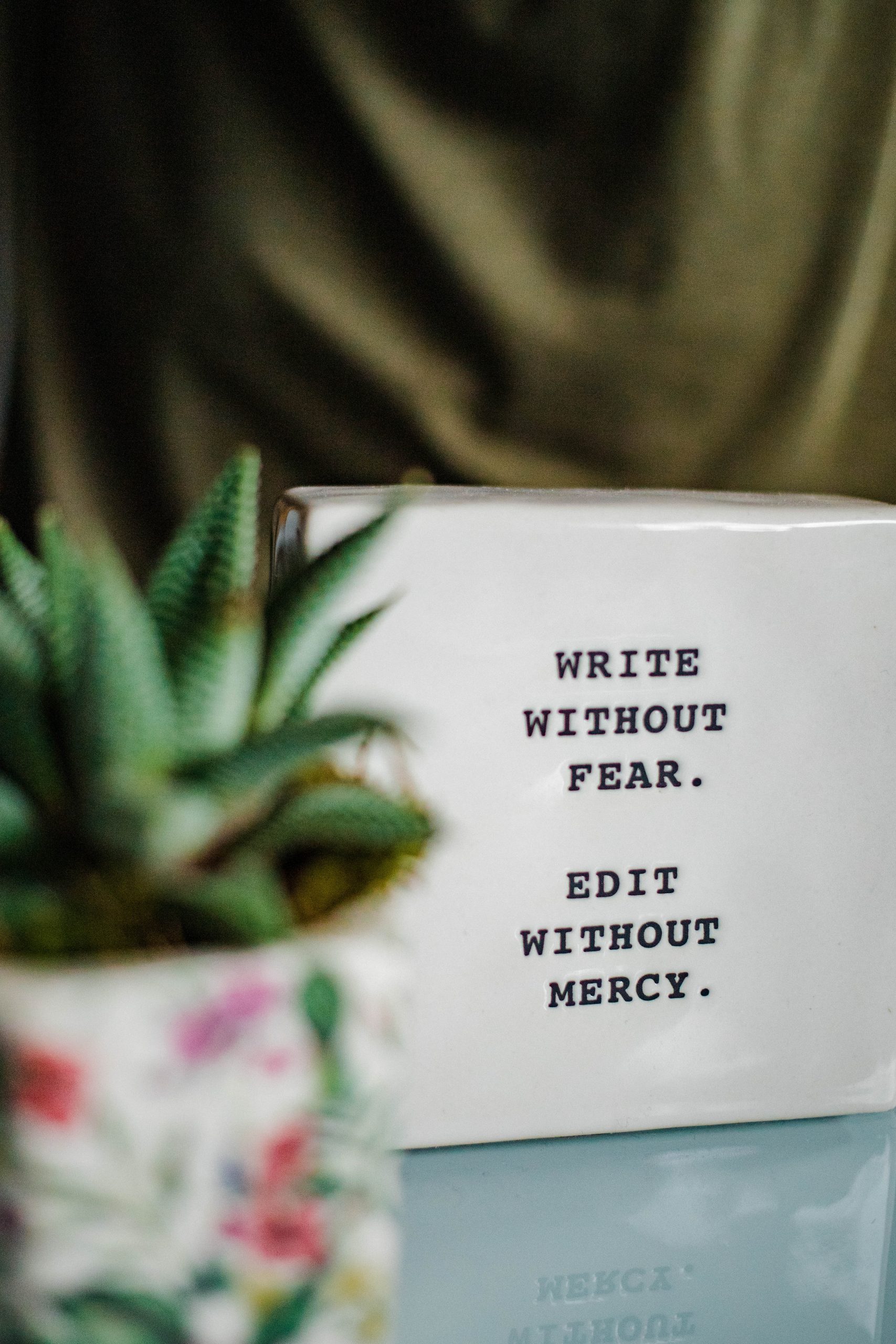 photo shows saying Write without fear, edit without mercy