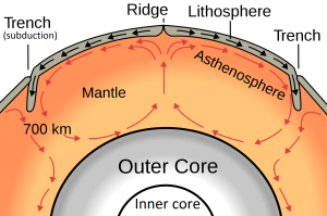 Figure I9: Depiction of the convection in the mantle and it's relationship to plate motion. The movement of currents in the Earth's mantle puts pressure on the Lithosphere are causes plates to move.