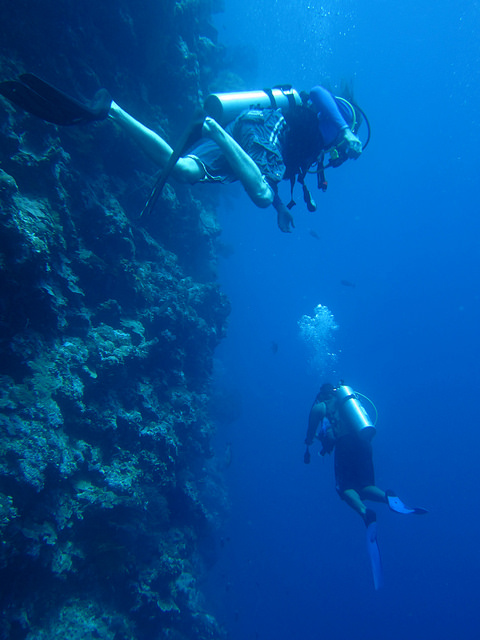 Descriptive image showing two people scuba diving in the deep ocean. (3.1.0)