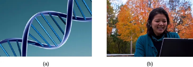 Image (a) shows the helical structure of DNA. Image (b) shows a person’s face.