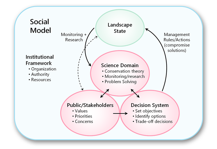 Diagram of the social model