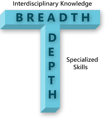 Diagram of T skills