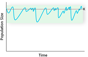 Graph of NRV