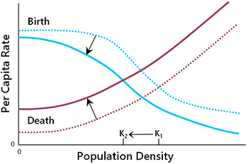Figure of birth and death curves