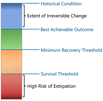 Recovery diagram