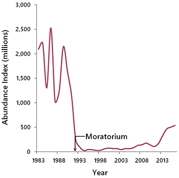 Graph of cod decline