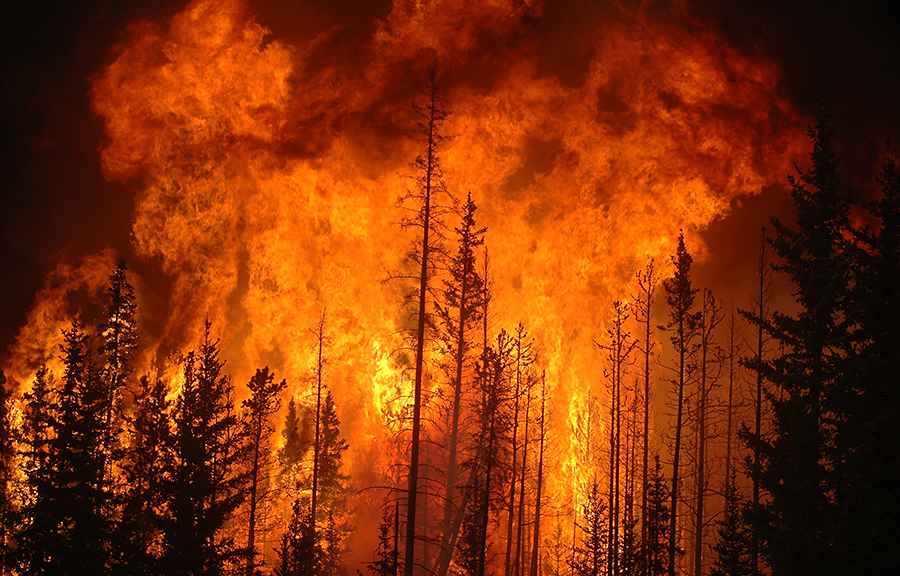 Photo of forest wildfire