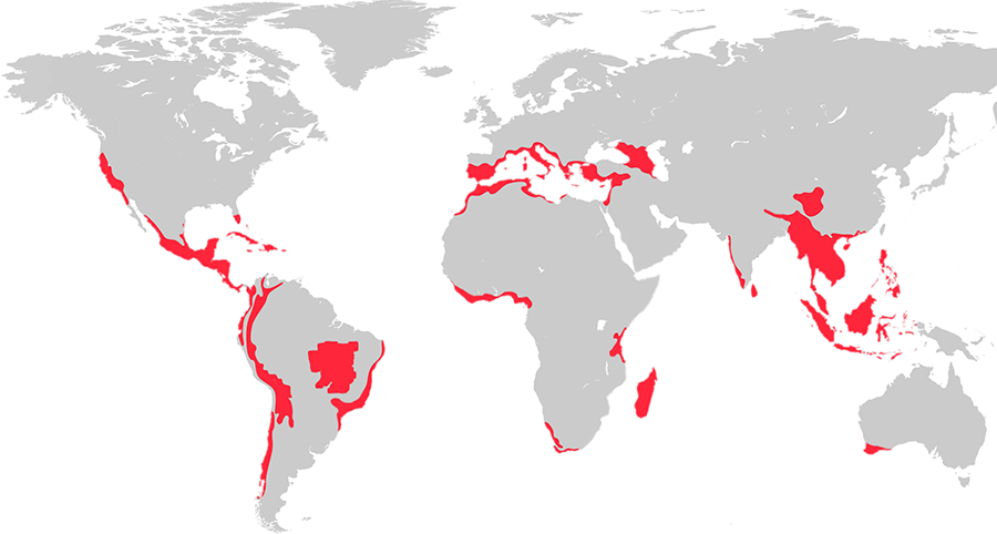 Map of global hotspots