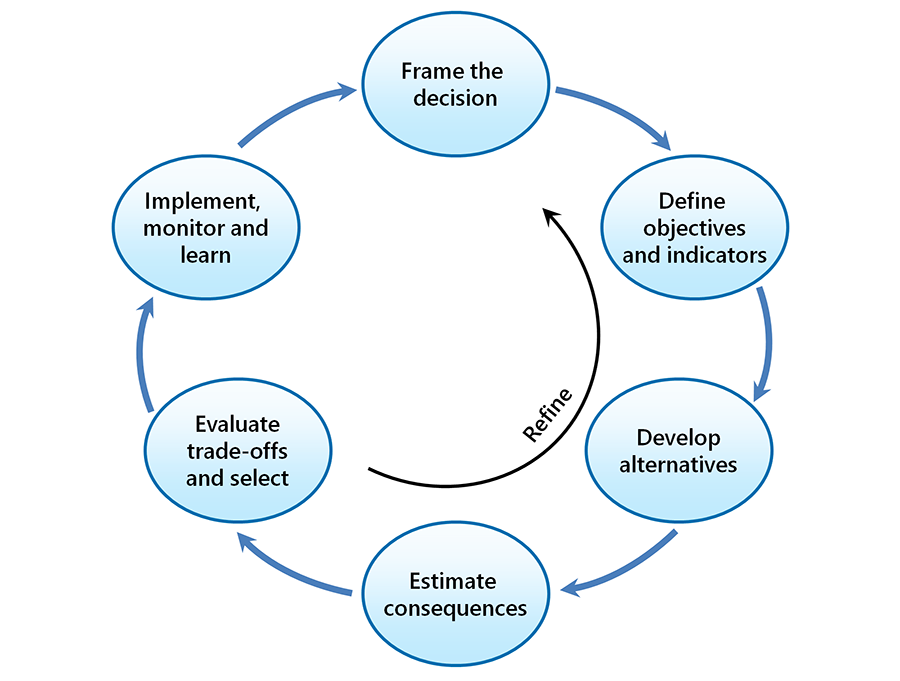 Diagram of decision cycle