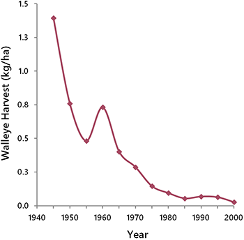 Graph of walleye decline
