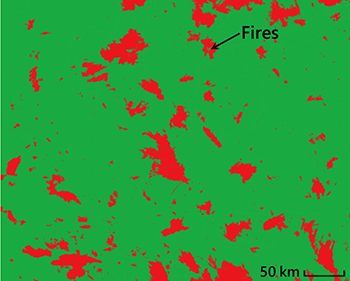 Map of fire distribution