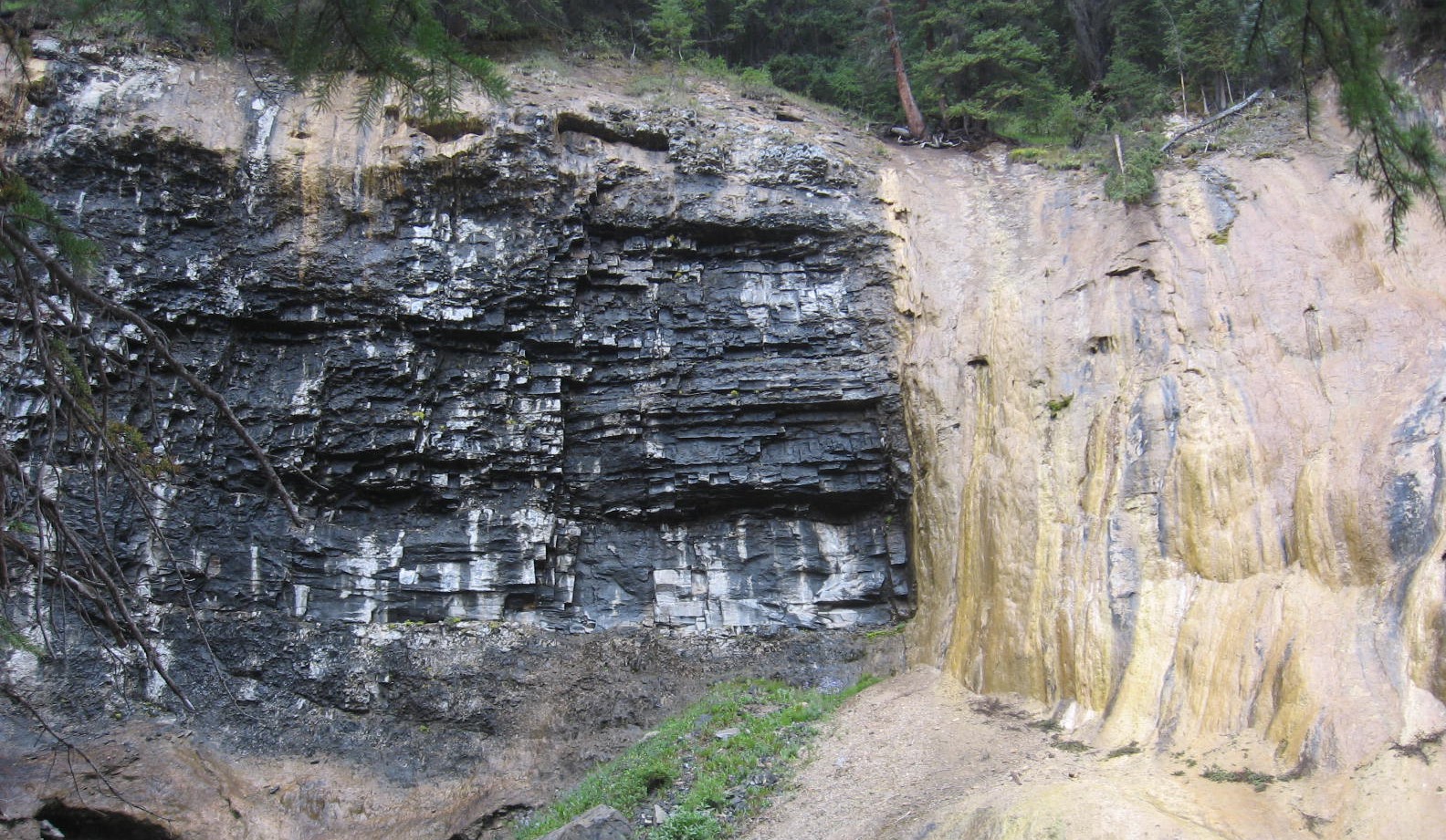Figure 5.4.4: Tufa (yellow-brown colour to the right) formed at a spring at Johnston Creek, Alberta. The bedded grey rock to the left is limestone.