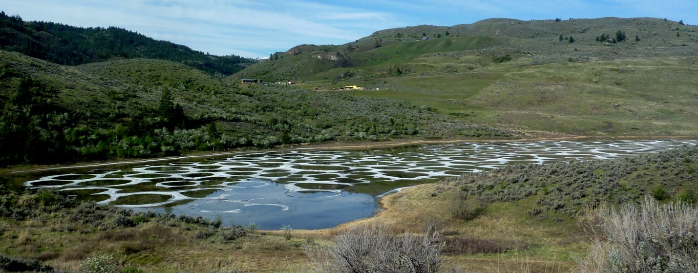 Figure 5.4.6: Spotted Lake, near Osoyoos, B.C. The patterns on the surface are salt. This photo was taken in May when the water was relatively fresh because of winter rains. By the end of the summer the surface of this lake is typically fully encrusted with salt deposits.