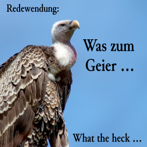 Was zum Geier ... (picture of a vulture) (What the heck...)