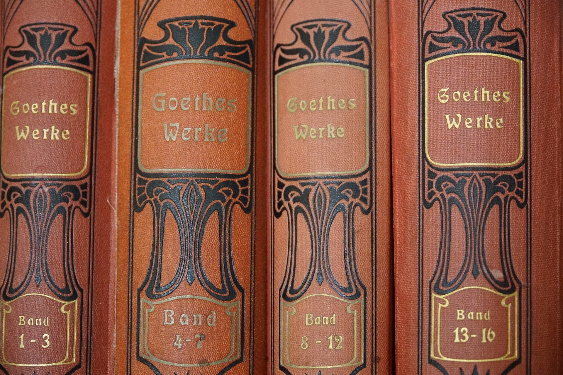 picture of the books from "Goethes Werke"